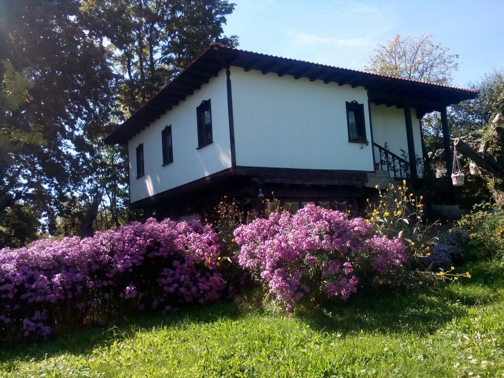 Готель Complex Roden Kray Vlaychovtsi Номер фото
